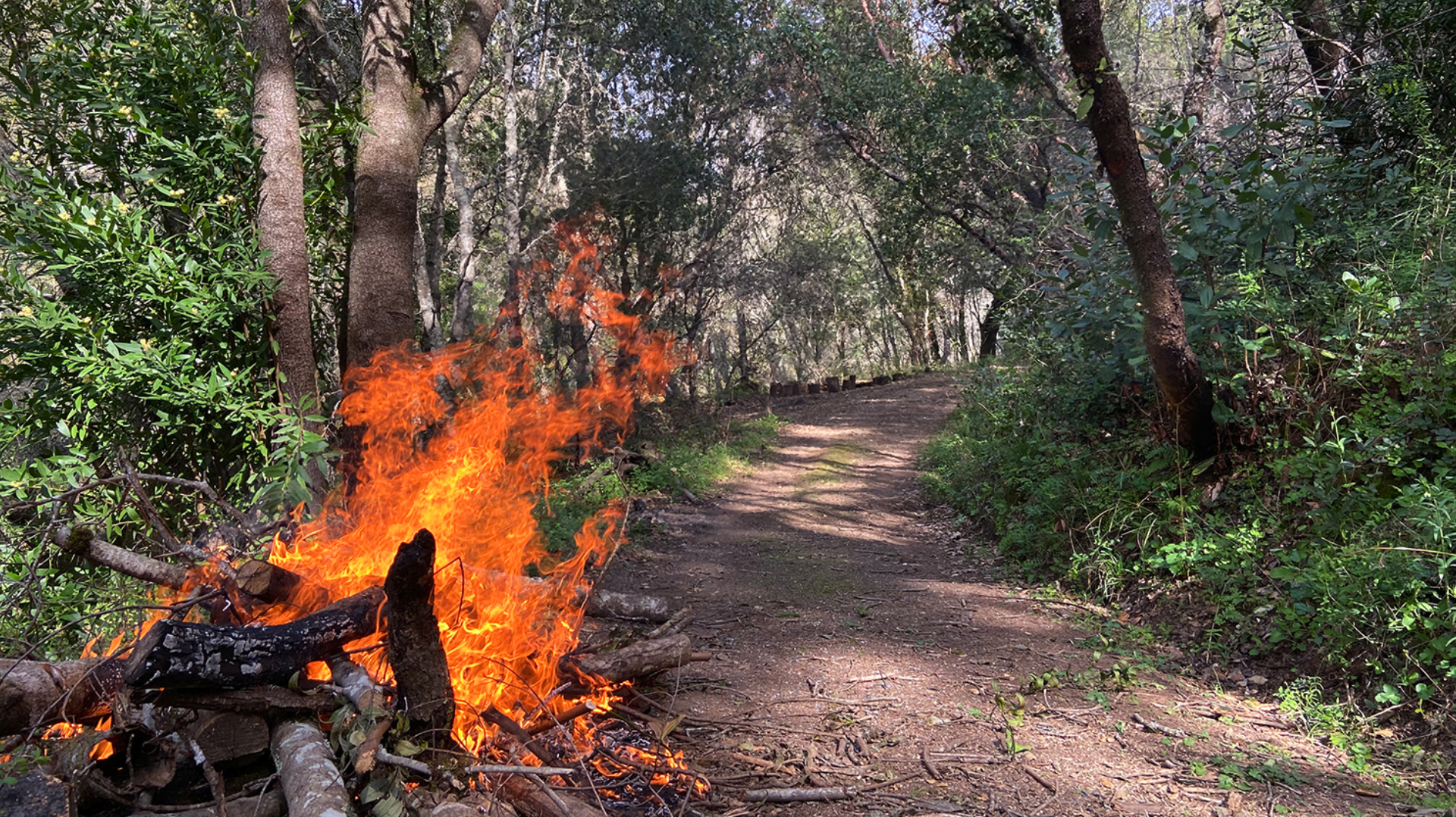 FF-landowner project CTA