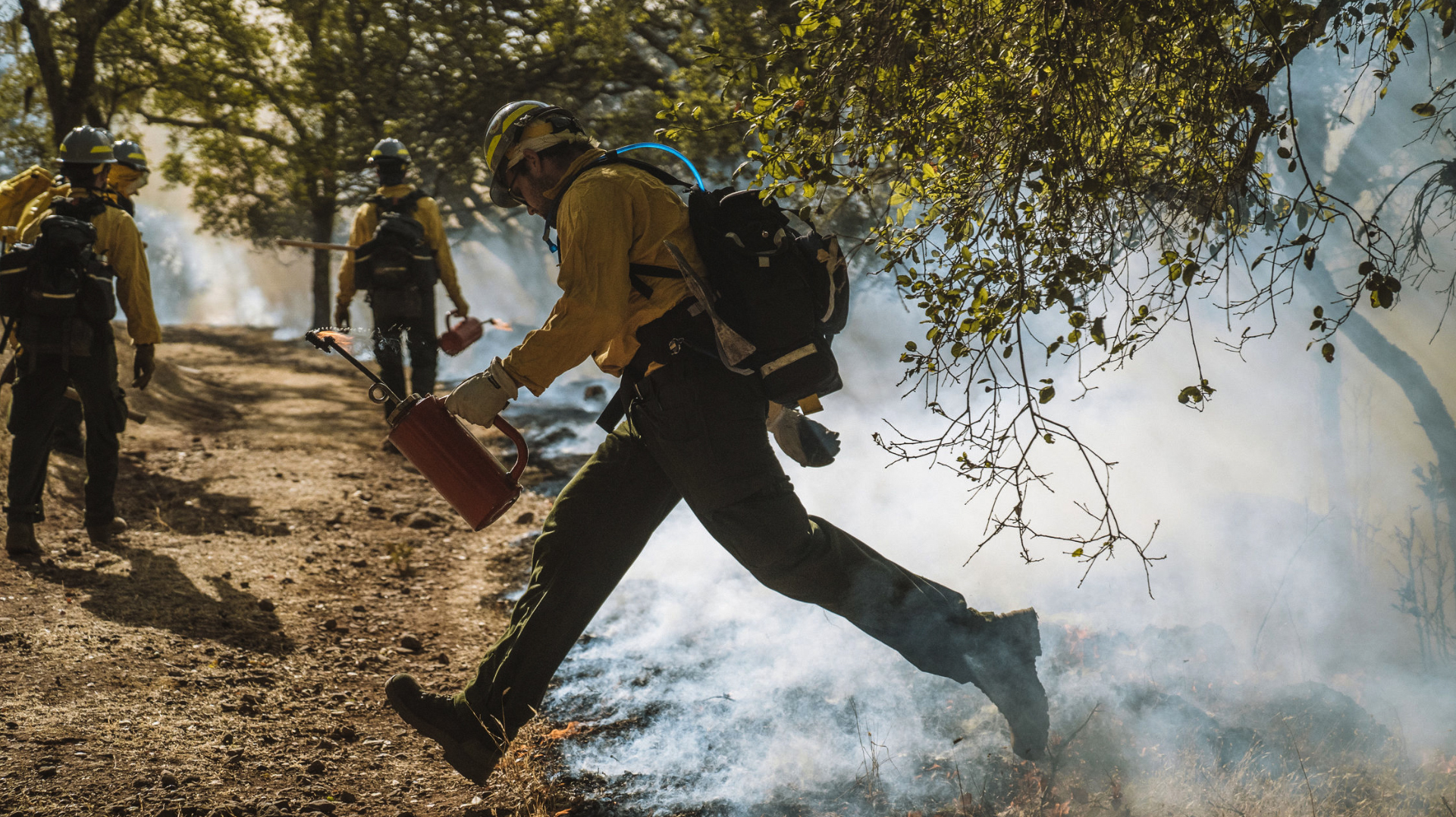 FF-main cta-Sashwa Burrous