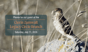 a Cooper's Hawk stand on a rock; invitation text is on the left
