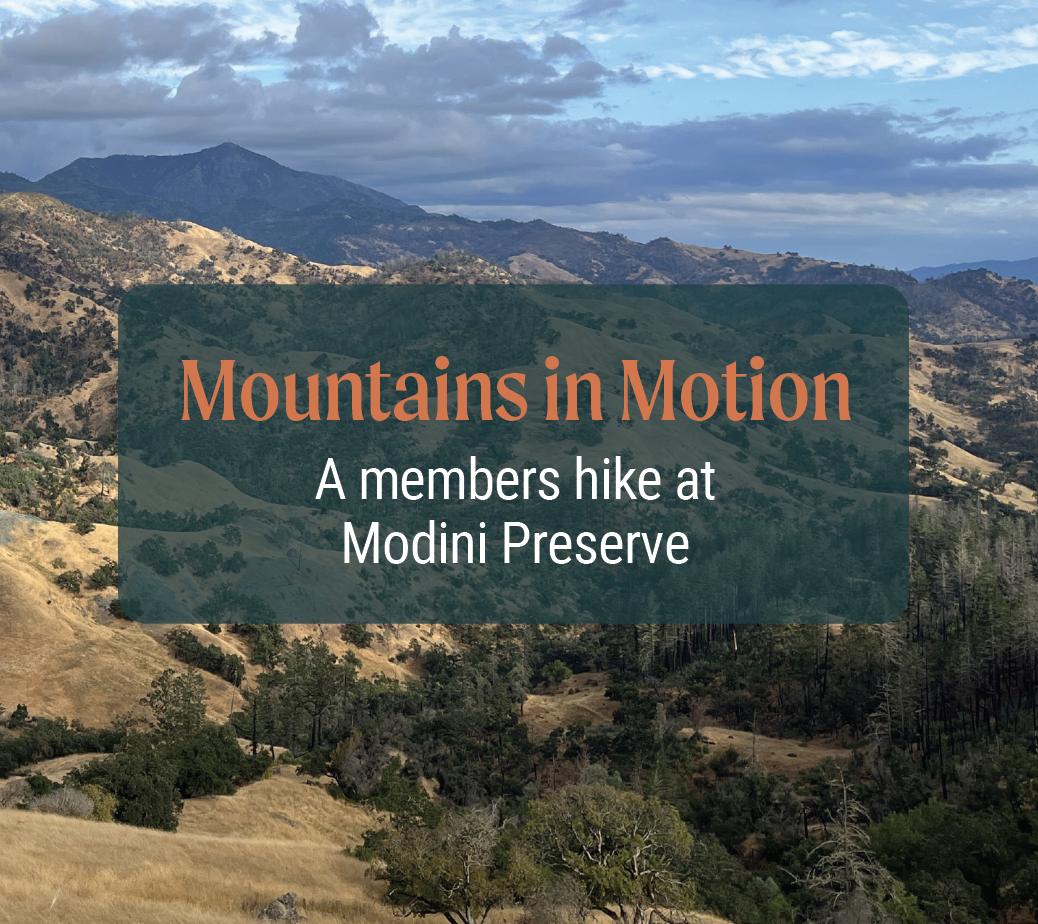 a view of Mt St Helena from Modini Preserve; clouds in background