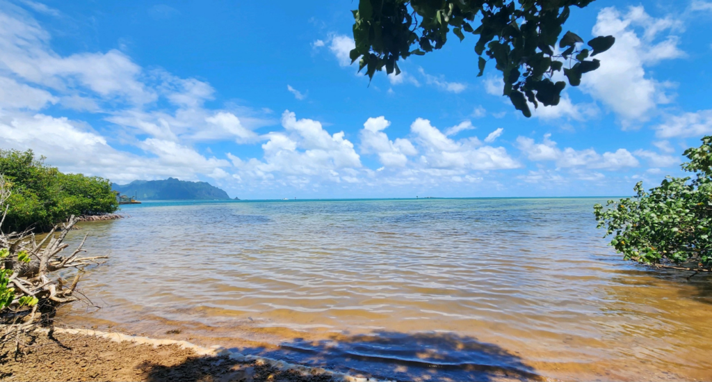 This image has an empty alt attribute; its file name is 4-1024x549.png