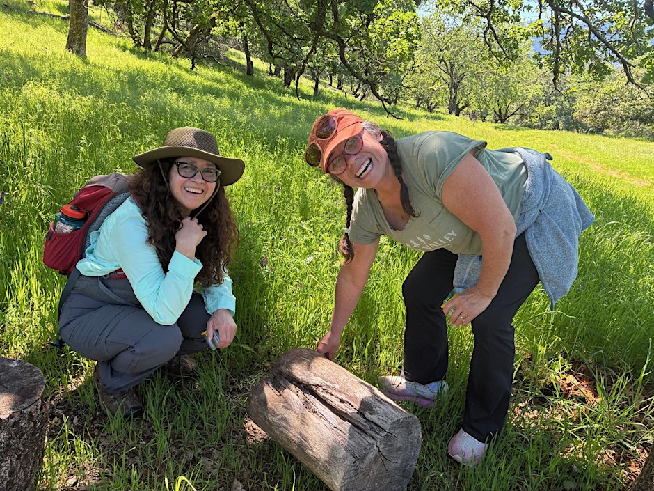 discovery at Bouverie Preserve