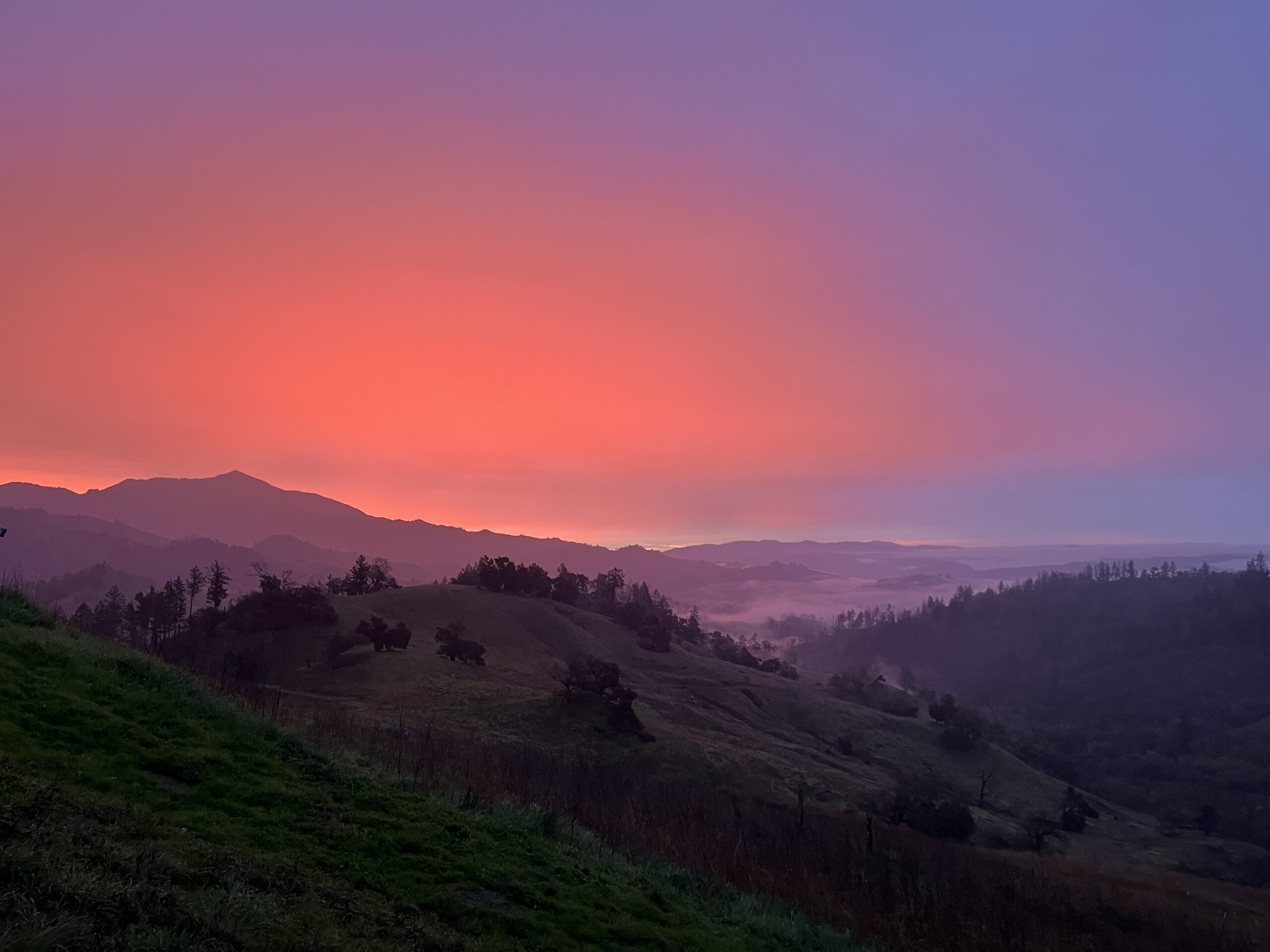 Sunrise at Modini Preserve by Michelle Cooper