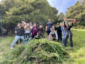 people gathered around a pile of invasive plants