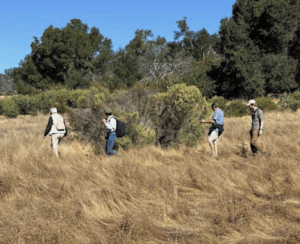 walk for wellness event at Bouverie Preserve