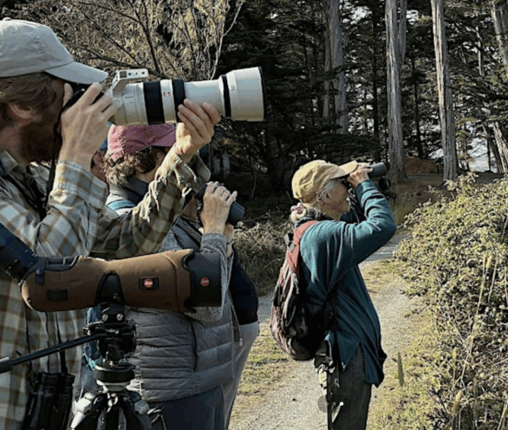 People looking through camera lenses and spotting scopes at Cypress Grove Preserve