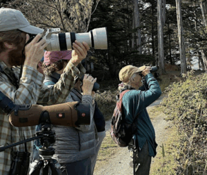 People looking through camera lenses and spotting scopes at Cypress Grove Preserve