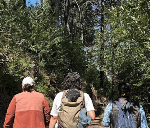 three day hikers walking through a tree-lined canyon