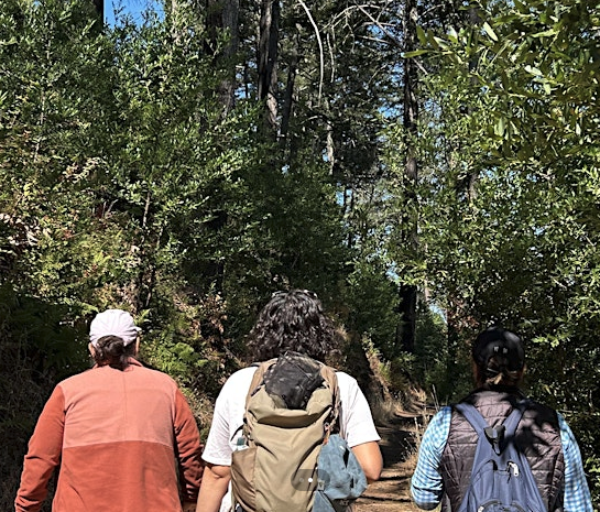 three day hikers walking through a tree-lined canyon
