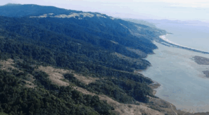 aerial view of Martin Griffin Preserve with Bolinas Lagoon and the Pacific Ocean beyond
