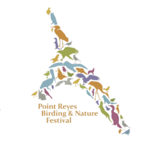 logo design for Point Reyes Birding and Nature Festival