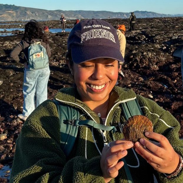 Daisy Prado examines a sea urchin along California coast