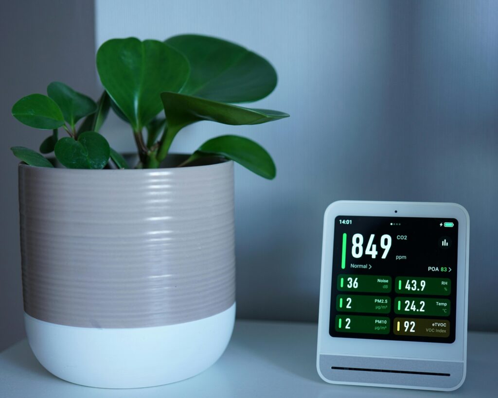 A potted plant sits next to a home air quality device.