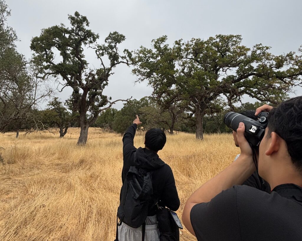 A youth points to a tree while another young person takes a photograph