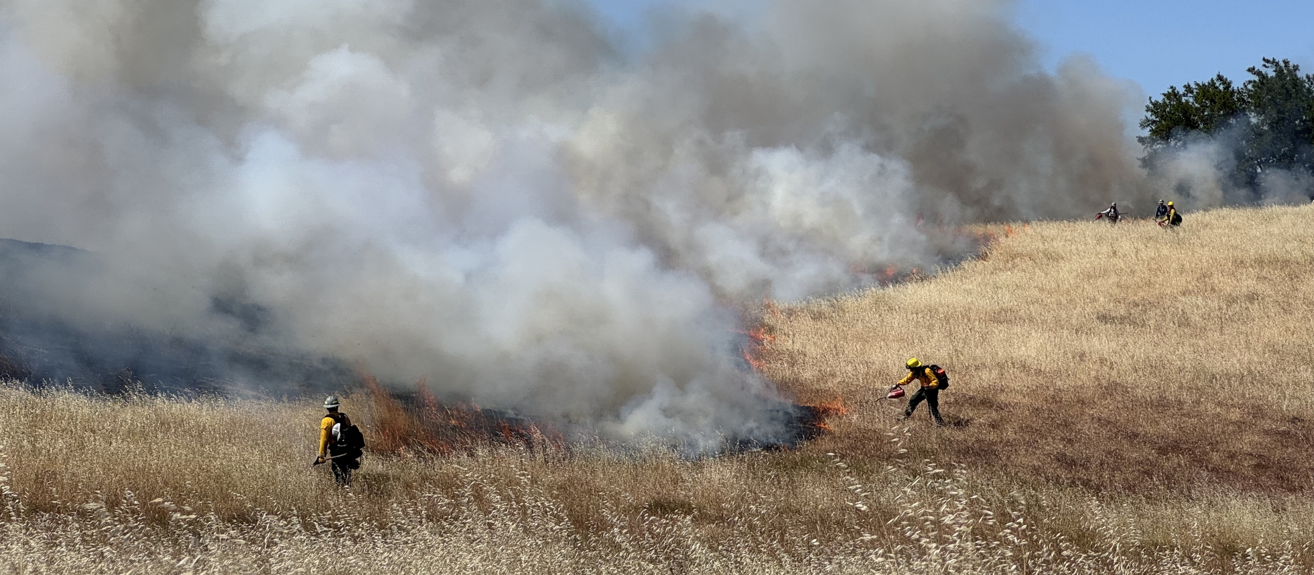 A prescribed fire crew in the distance conducts a broadcast burn in a dried grass field.
