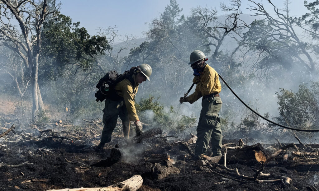  Two prescribed fire practitioners in safety gear extinguish the last of a fire. 