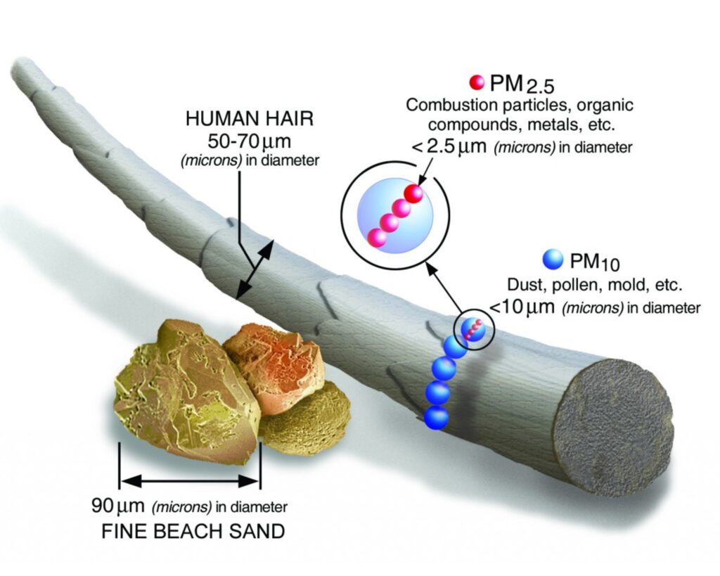 A scientific graphic showing a size comparison between smoke particles and other particles in relation to human hair. 