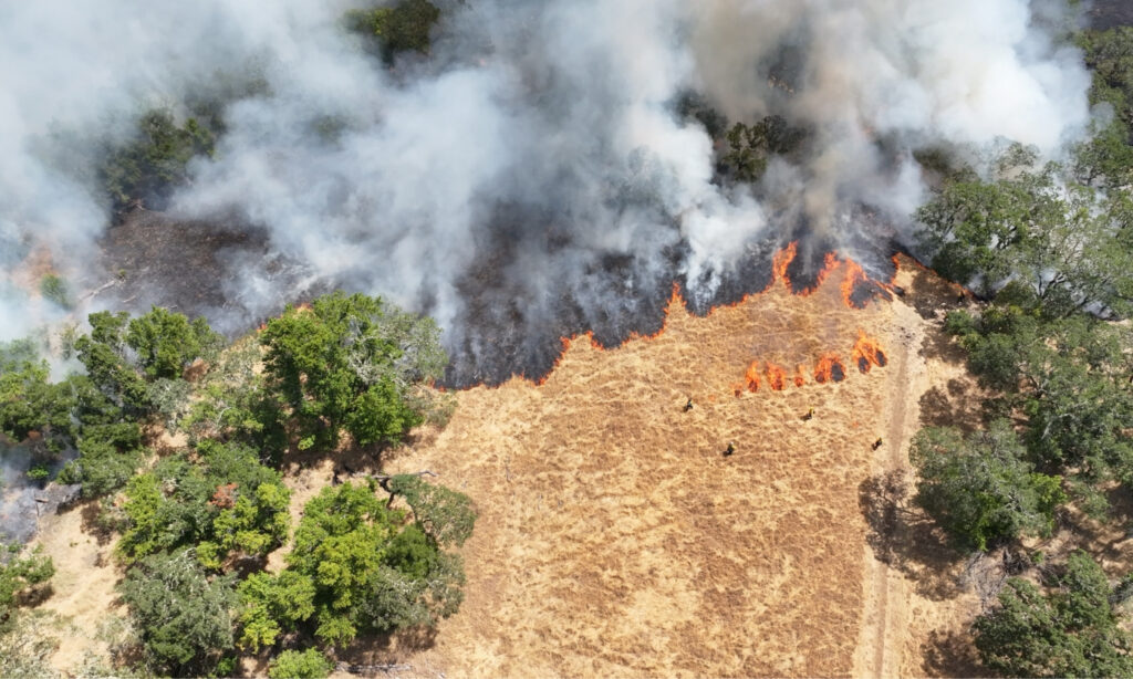 An aerial view of a prescribed fire. 