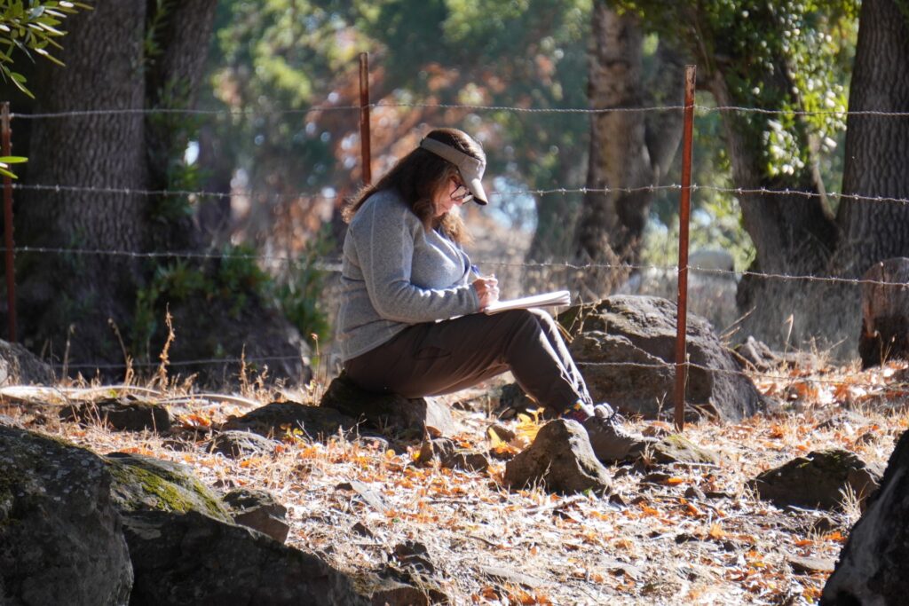 a person sitting on a rock writes in a nature journal
