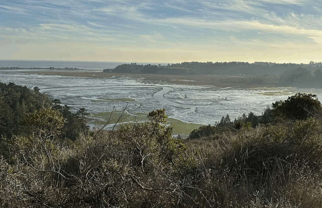a view of the Bolinas Lagoon from the bluff on Martin Griffin Preserve, Stinson Beach