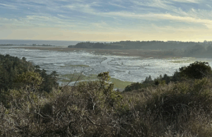 a view of the Bolinas Lagoon from the bluff on Martin Griffin Preserve, Stinson Beach