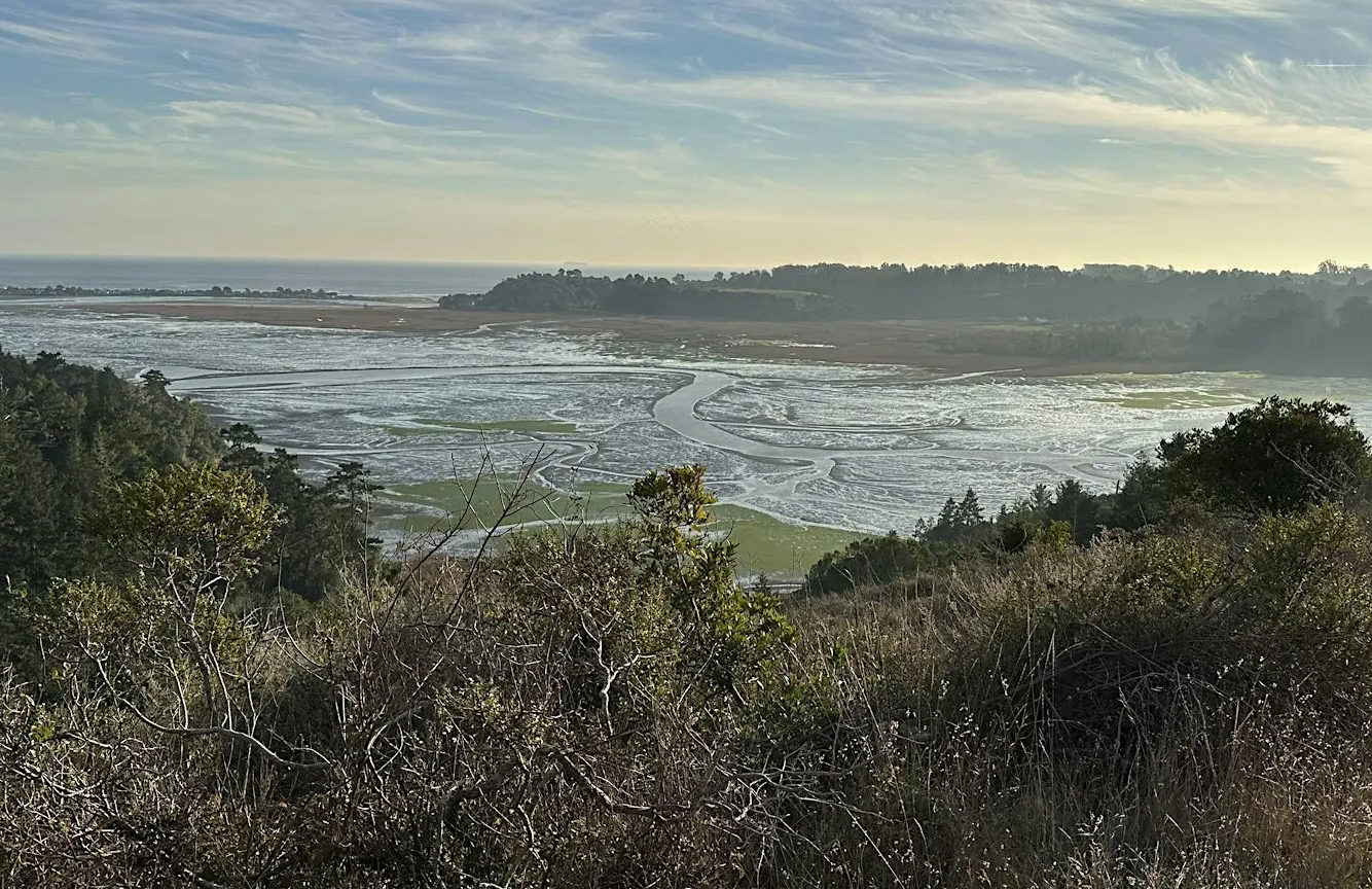 a view of the Bolinas Lagoon from the bluff on Martin Griffin Preserve, Stinson Beach