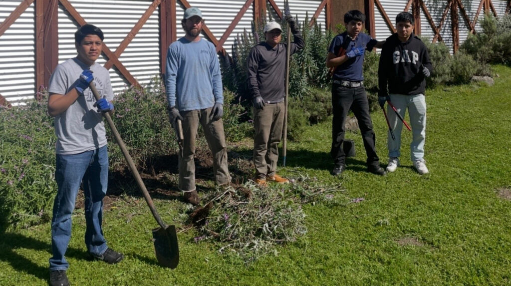 A group of teenager with an adult doing gardening work in a grassy area in front of a fence.