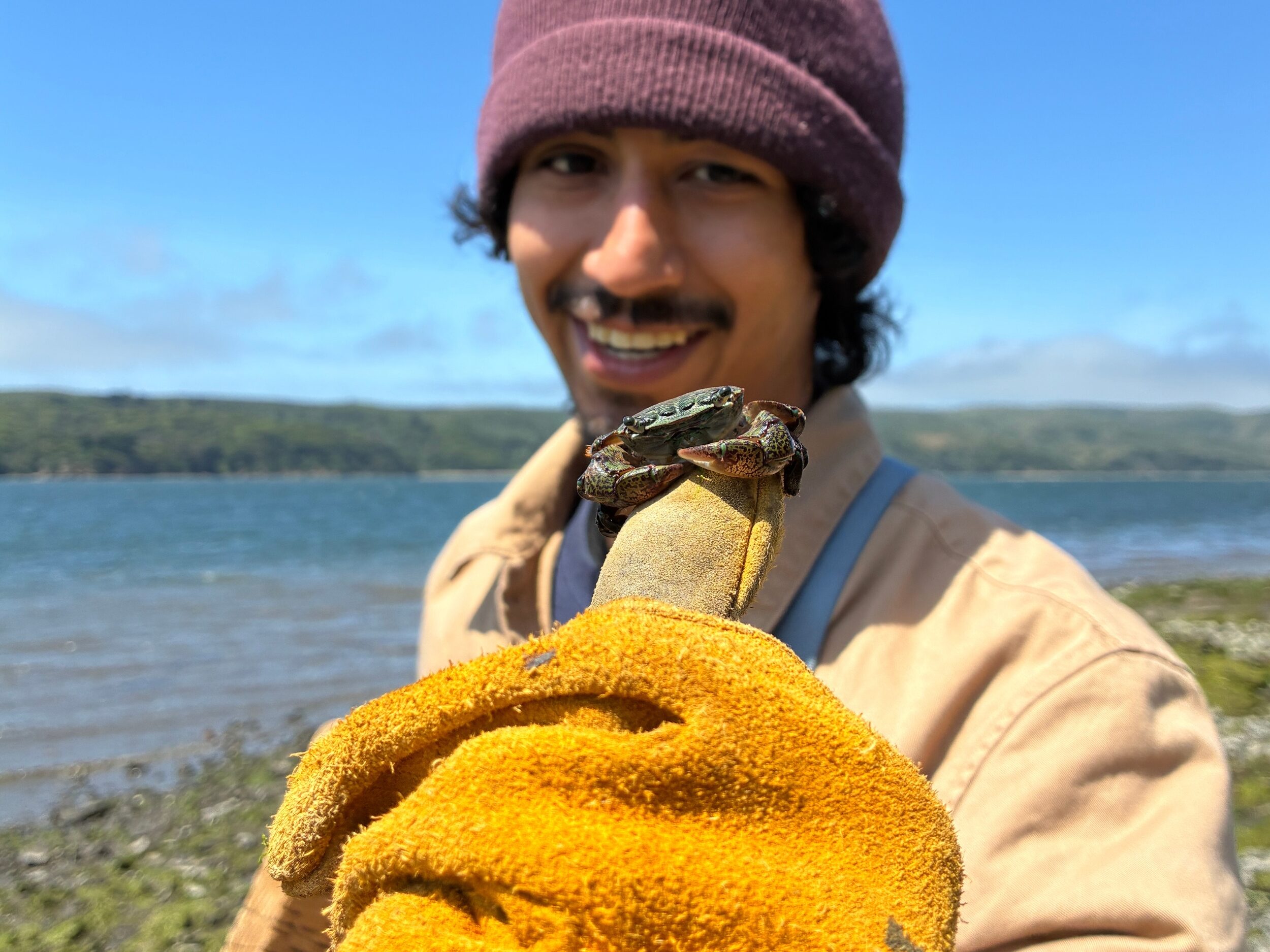 I leather gloved hand with a crab perched on the thumb, in the background a smiling mustached young man with a red beanie cap. 