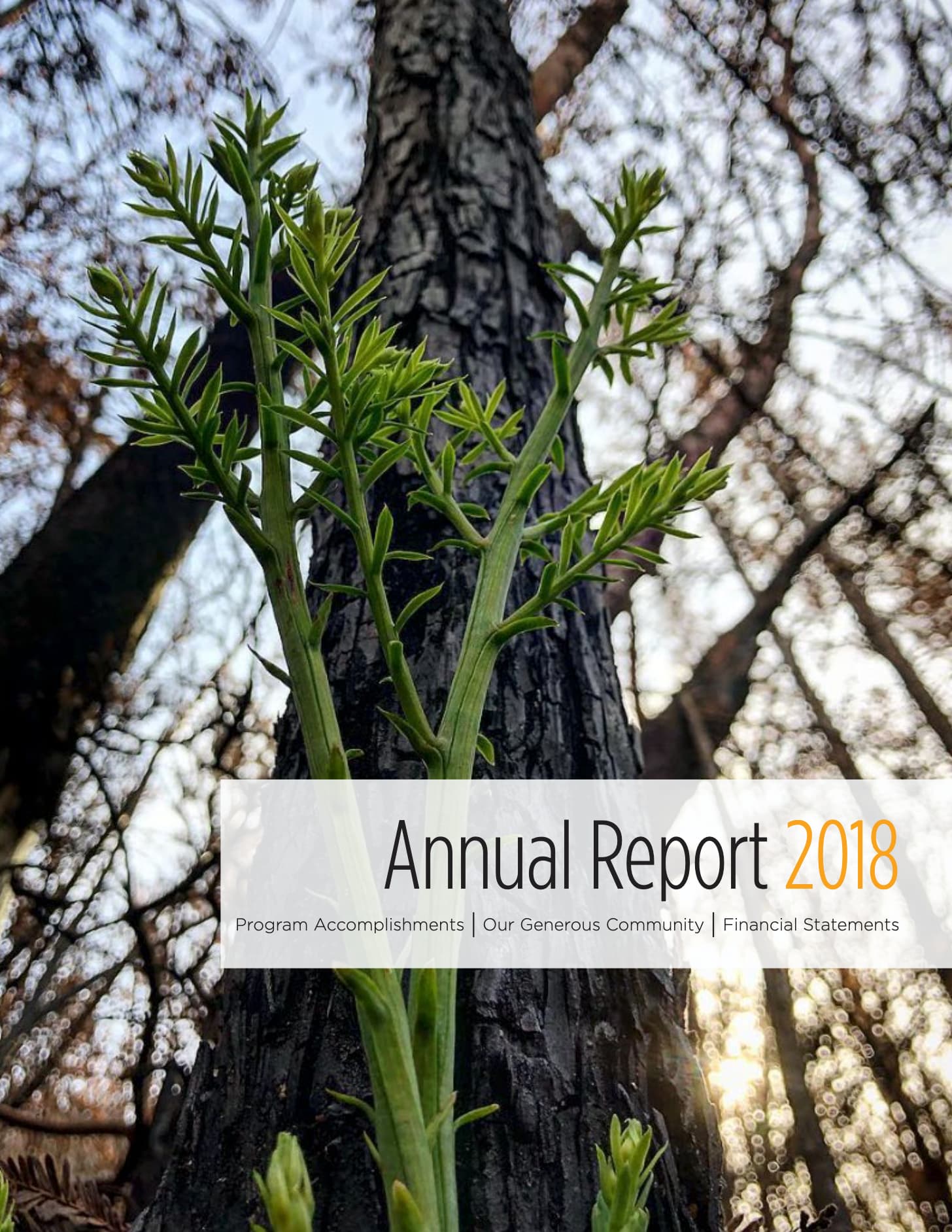 cover of 2018 annual report