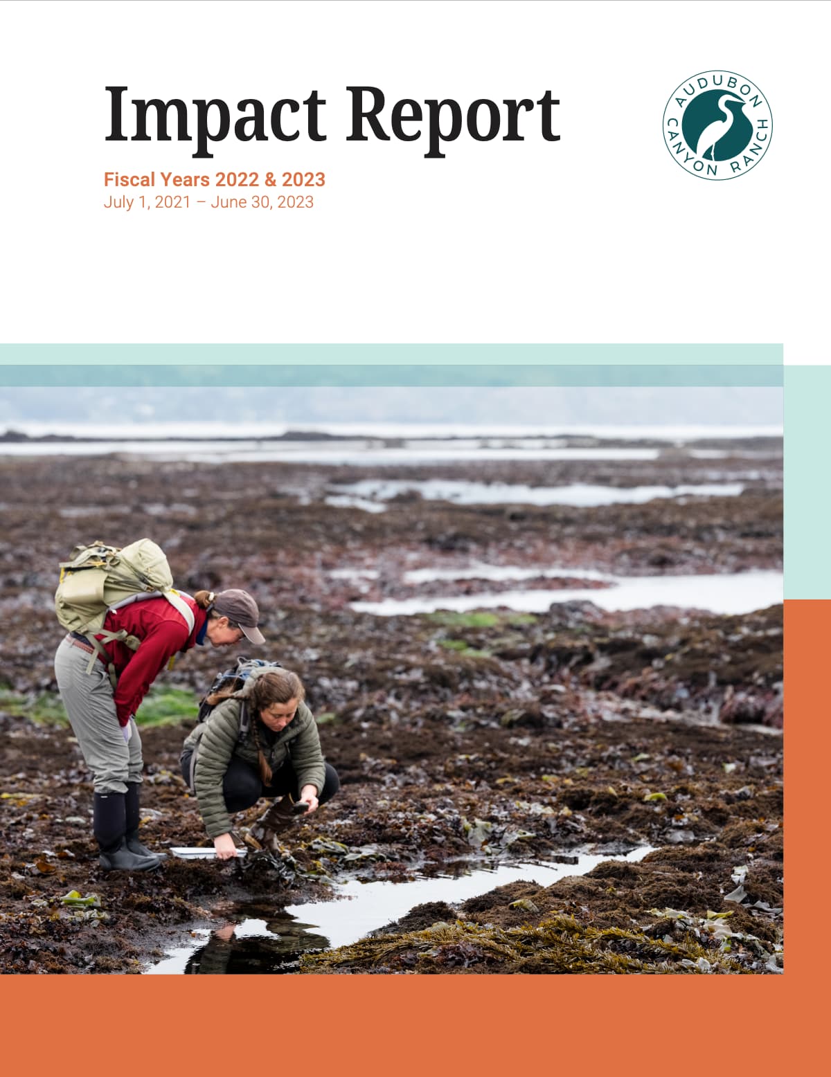 cover of 2022-2023 impact report