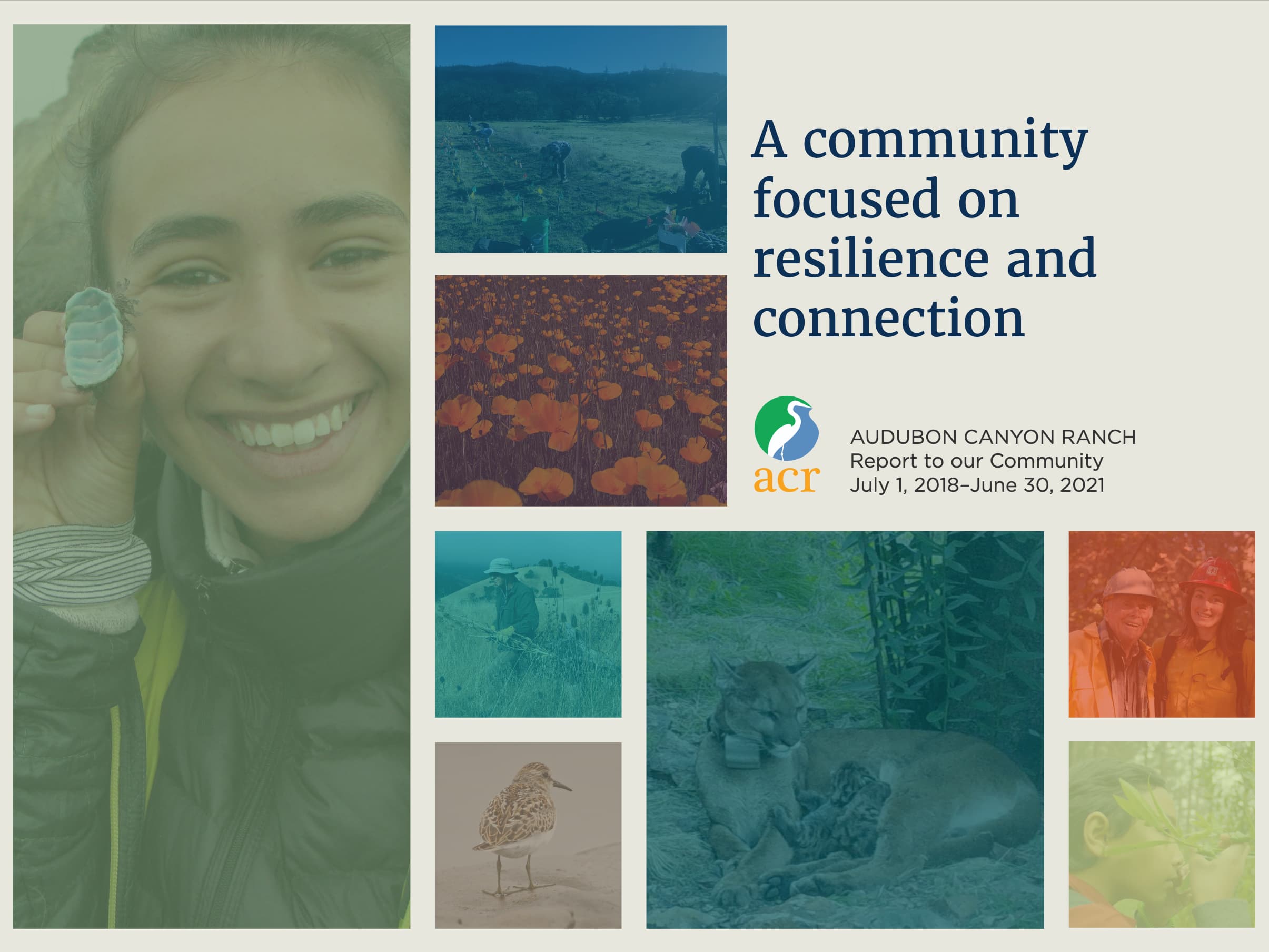 cover of 2019-2021 annual report