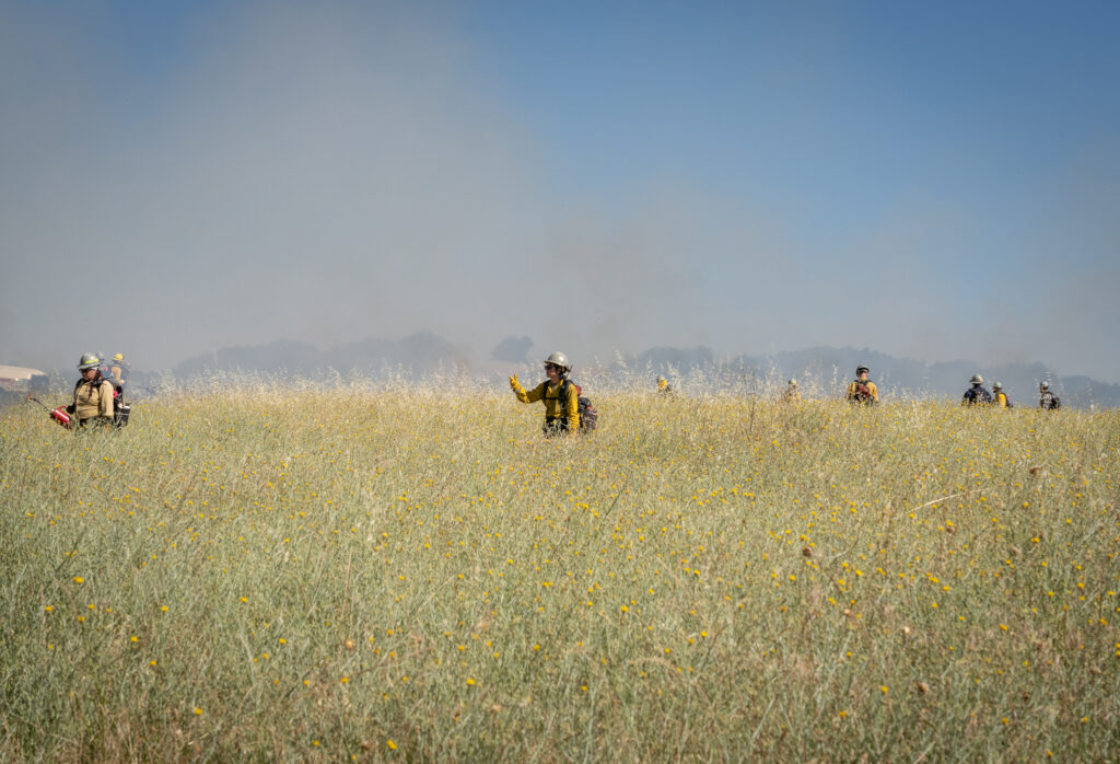 A crew of prescribed fire practitioners in a field of dry grass with smoke rising in the background.