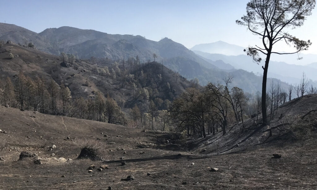 A mountainous blackened landscape after a wildfire.