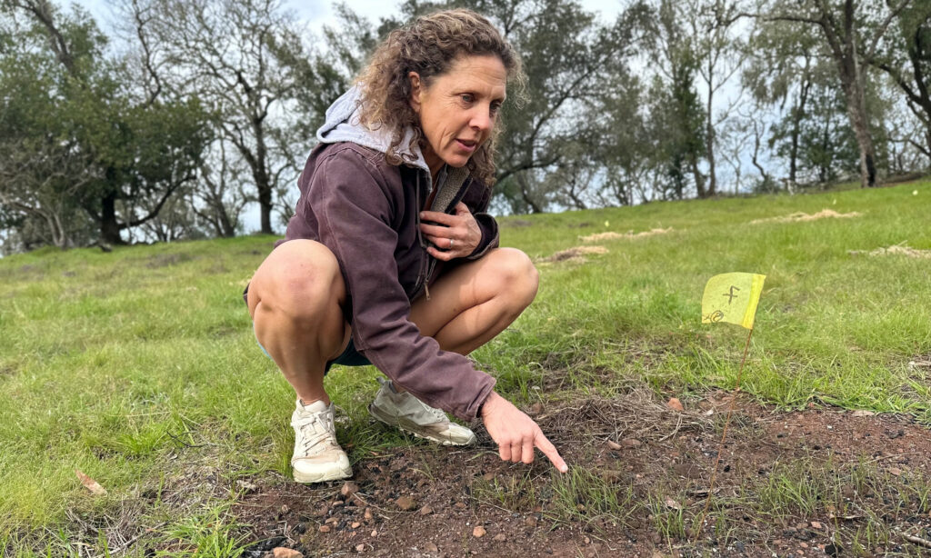 A woman in a brown jacket kneels and points at something growing in the gound.