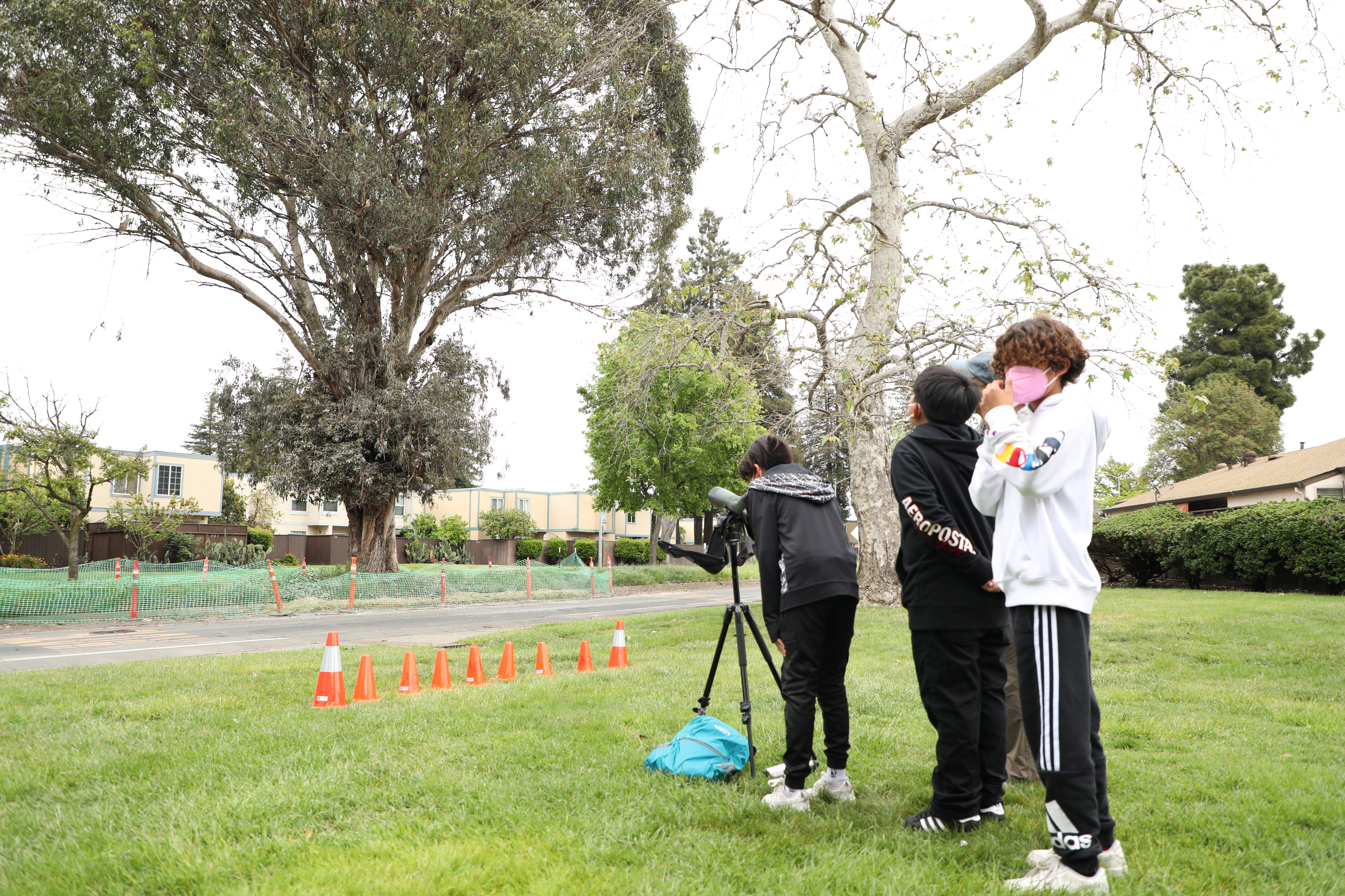 students look through spotting scopes toward a heronry in Santa Rosa