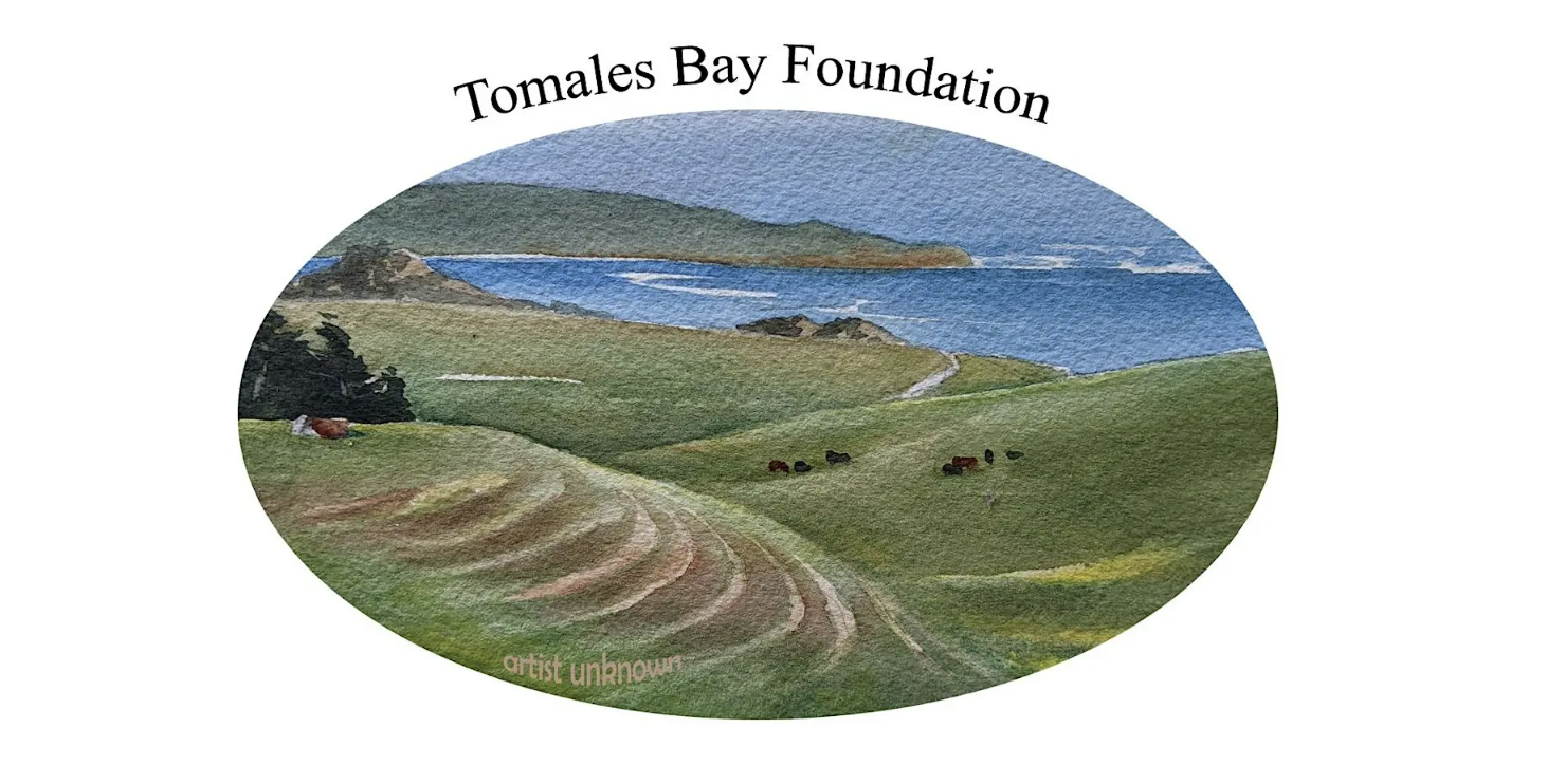 A watercolor painting of green fields and ocean with the words Tomales Bay Foundation.
