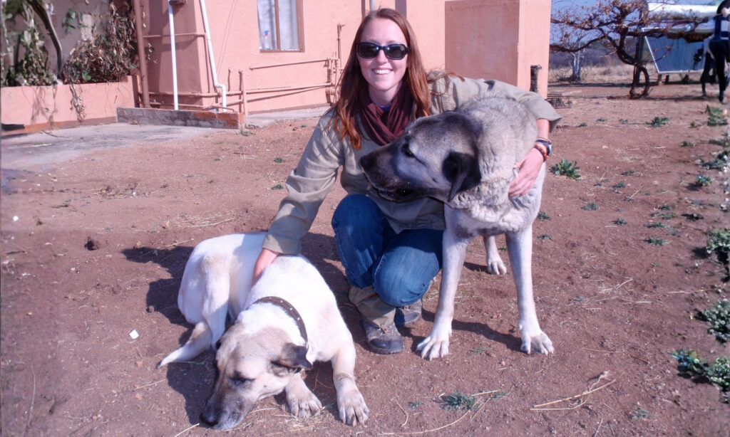 A woman in sunglasses has her arm around a large dog and her hand on another in a dirt yard.