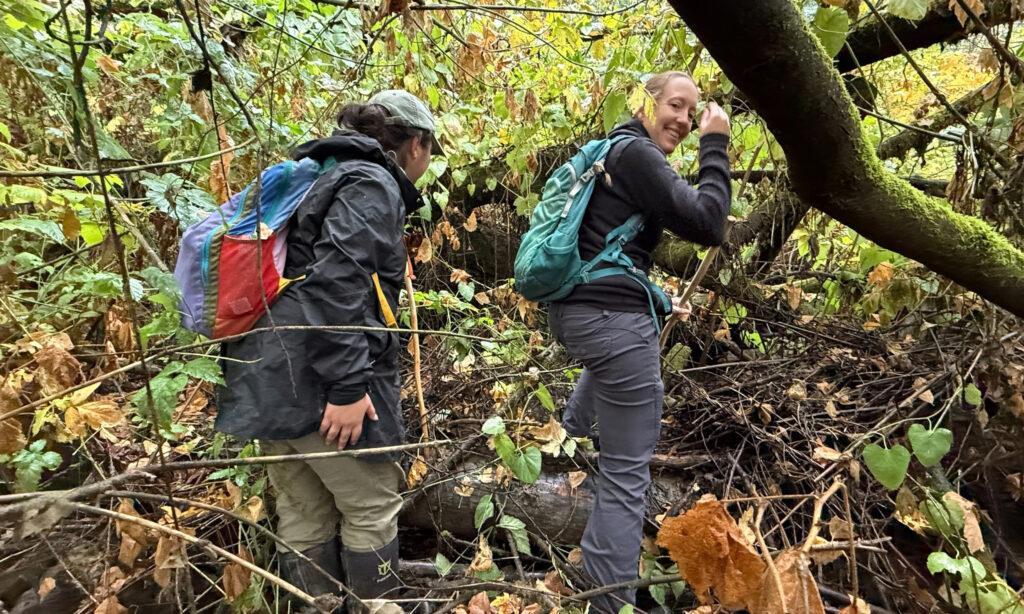 A woman with a backpack with another individual in a hat hiking through dense forested brush.